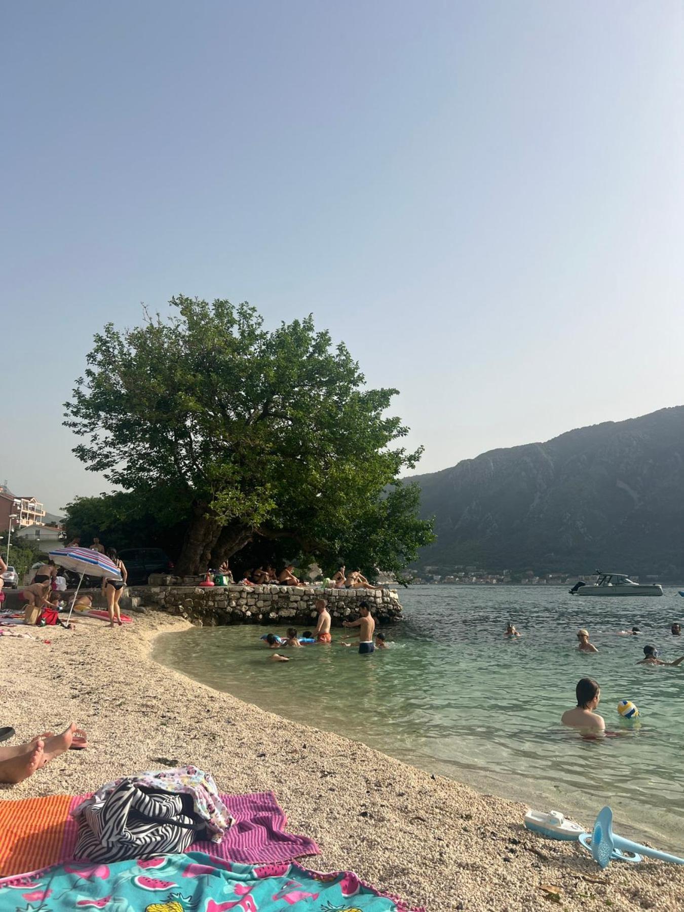 Apartments 101 Kotor Buitenkant foto